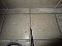 Click image for larger version

Name:	IMG_1439.jpg
Views:	1540
Size:	143.3 KB
ID:	87776