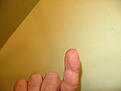 mold apr (4).jpg