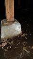 Click image for larger version

Name:	Growth on pier crawlspace.jpg
Views:	788
Size:	133.1 KB
ID:	88042